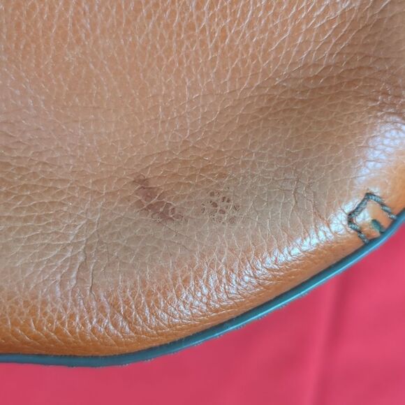 Fossil Convertible Crossbody Mini-Bag/Fanny Bag For Kitty Rescue!! - Picture 12 of 16